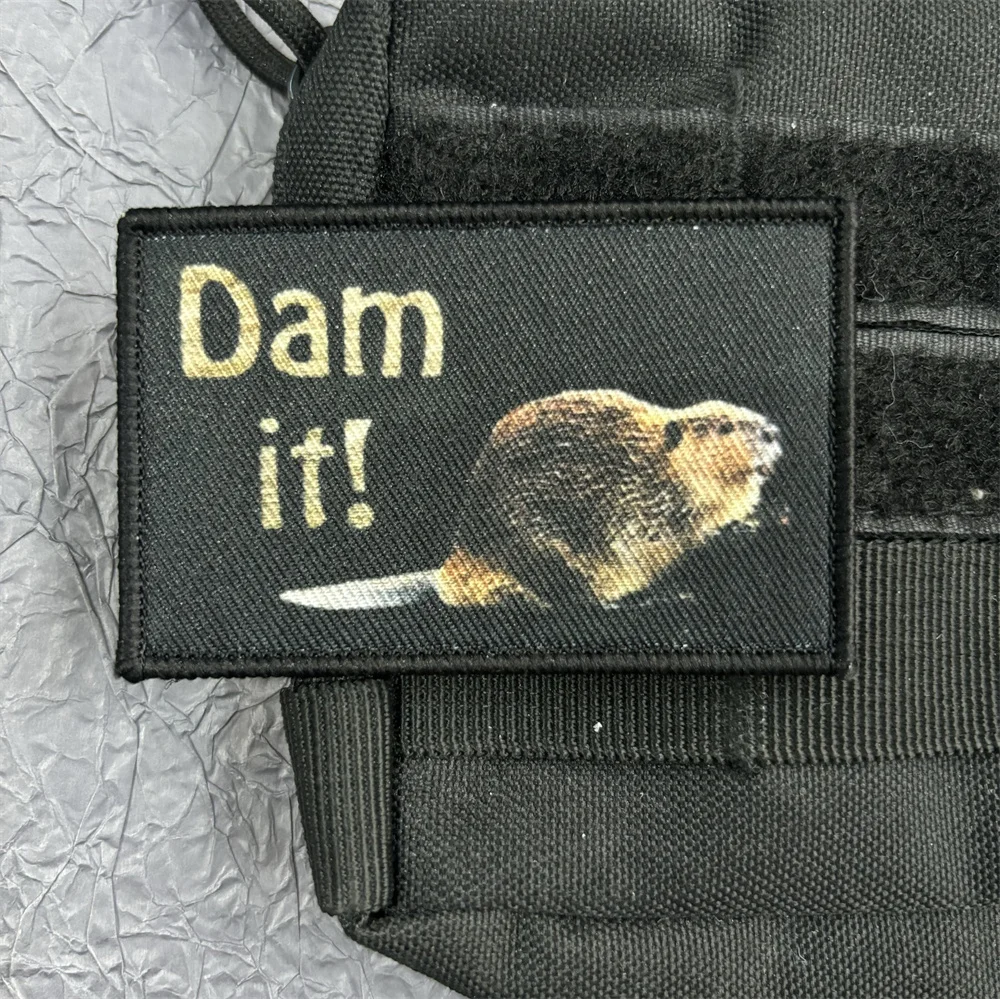 Parches de animales de dibujos animados para ropa, insignia de moral bonita, parche de gato con gancho y bucle, pegatinas para mochila de capibara, apliques - imagen 5