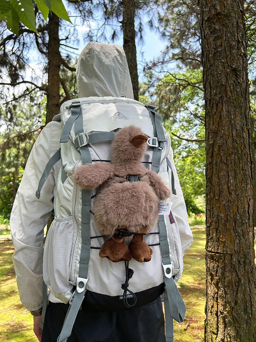 Mochila de cuerda elástica para bolsa de senderismo, hebilla de resorte, cuerda de extensión reflectante, hebilla de sujeción - imagen 4