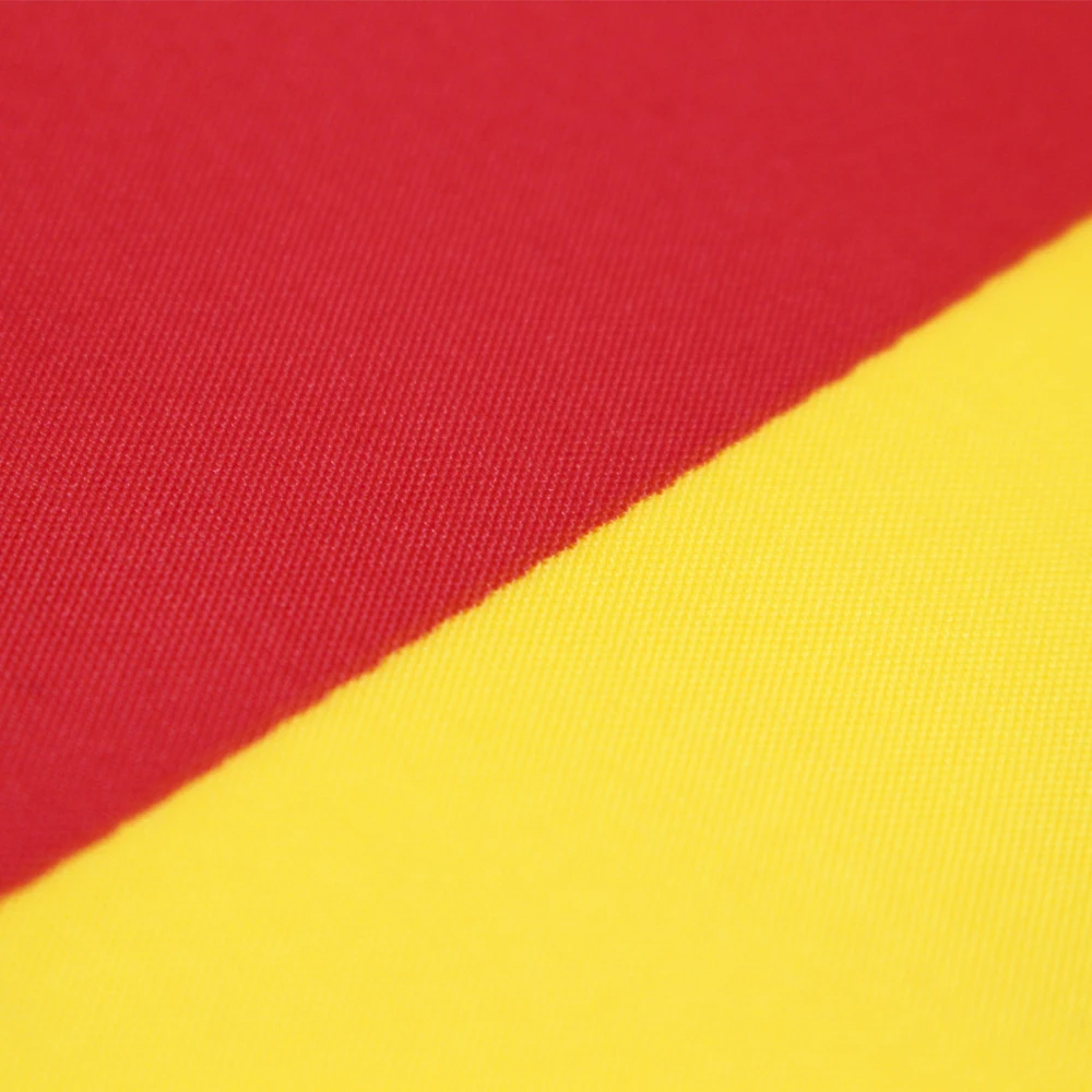Bandera de Rumania para exterior azul amarillo rojo - imagen 2