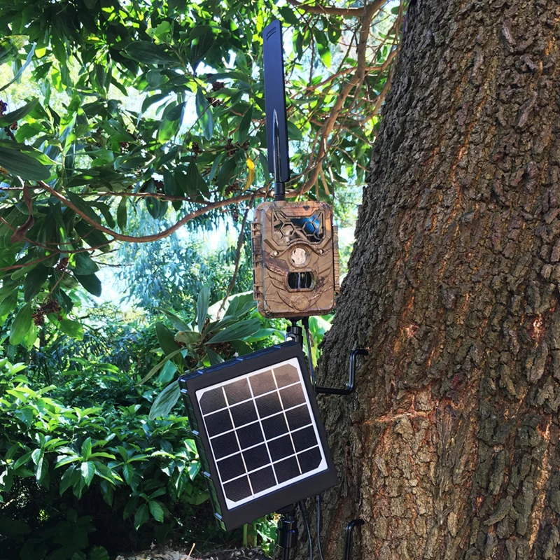 Soporte M5 para cámara de rastreo – Montaje ajustable en árbol - imagen 5