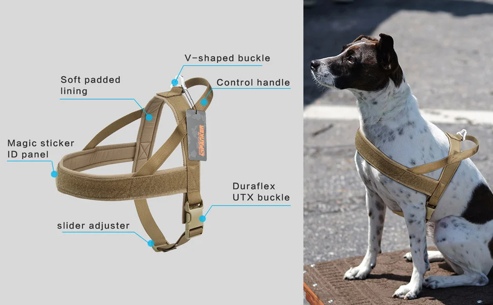 arnes tactico vista frontal