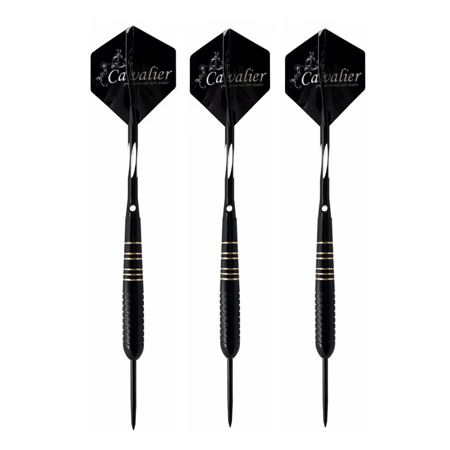 Juego dardos profesionales tungsteno 23g