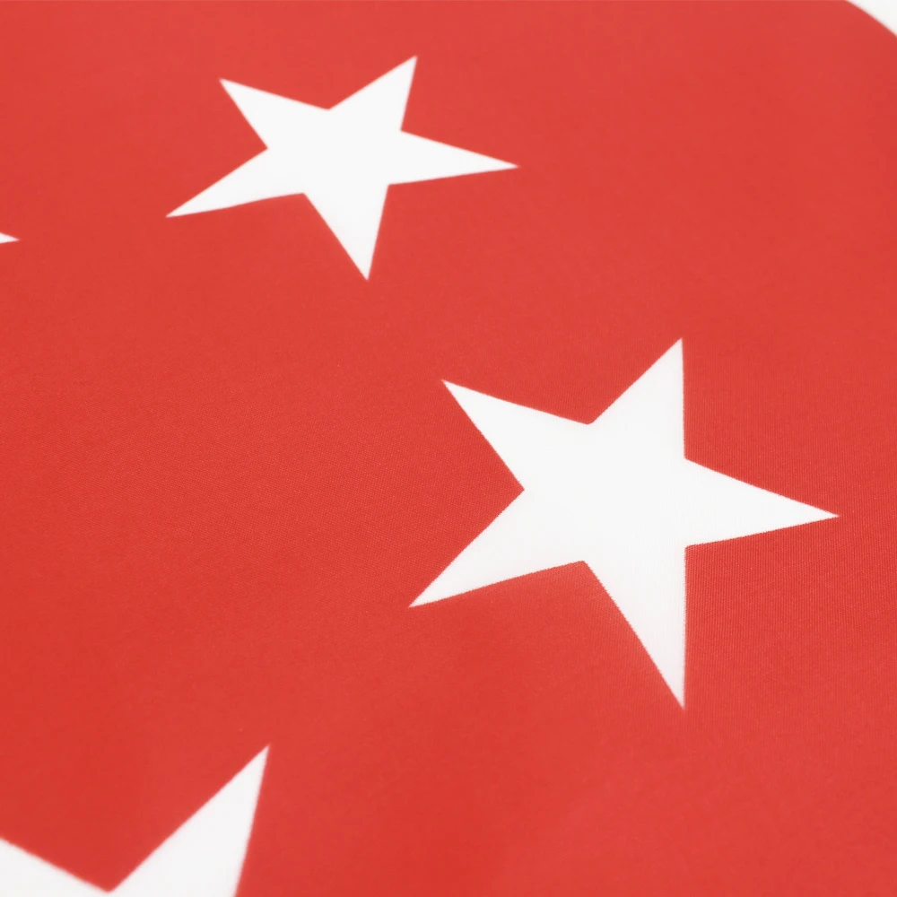 Xiangying Bandera Singapur Ciudad del León para exterior - imagen 2