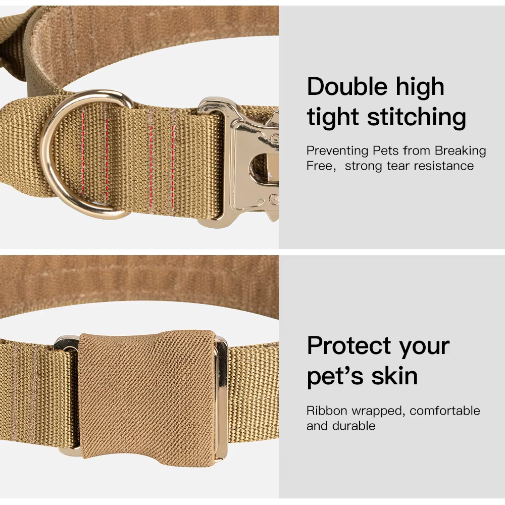 Collar en golden retriever