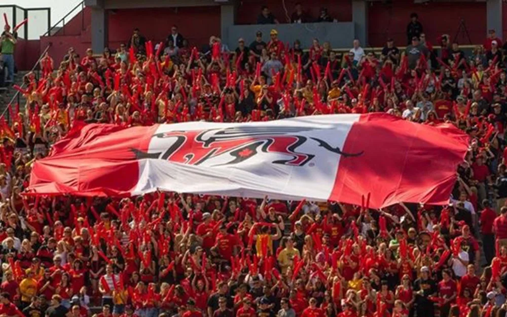 Detalle de colores e impresión de la bandera personalizada
