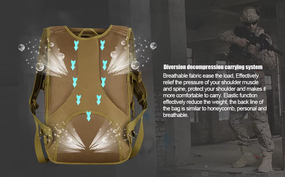 Sistema de descompresión dorsal