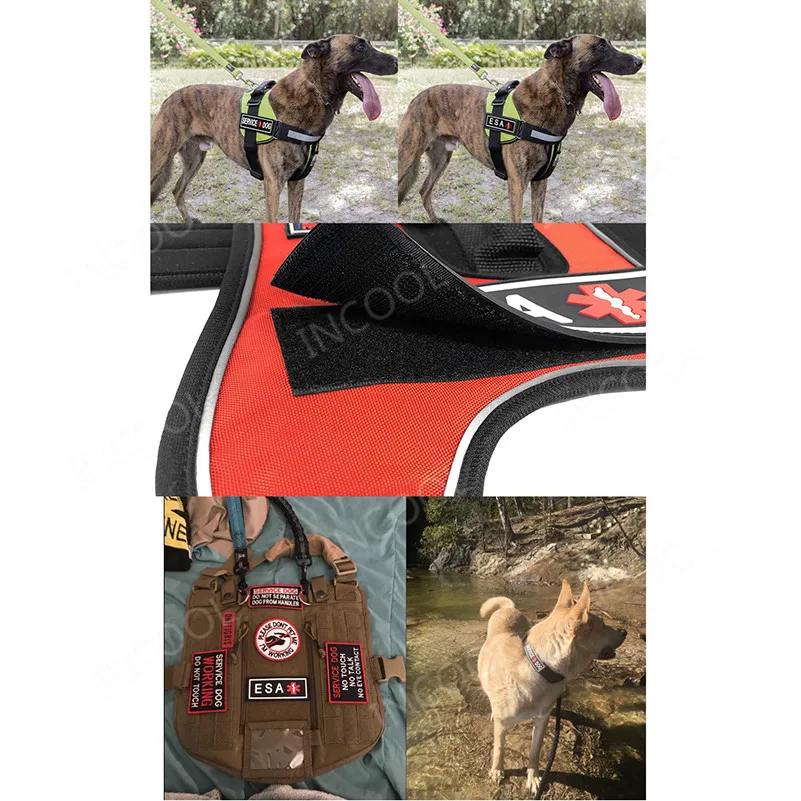 Parche PVC para perro de servicio – insignia goma arnes tactico - imagen 2