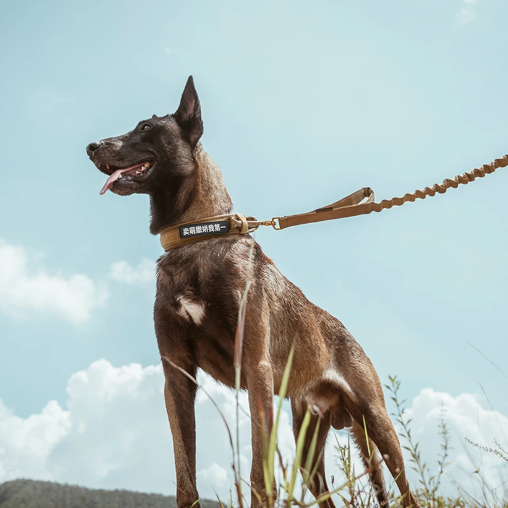 Sistema de ajuste del collar