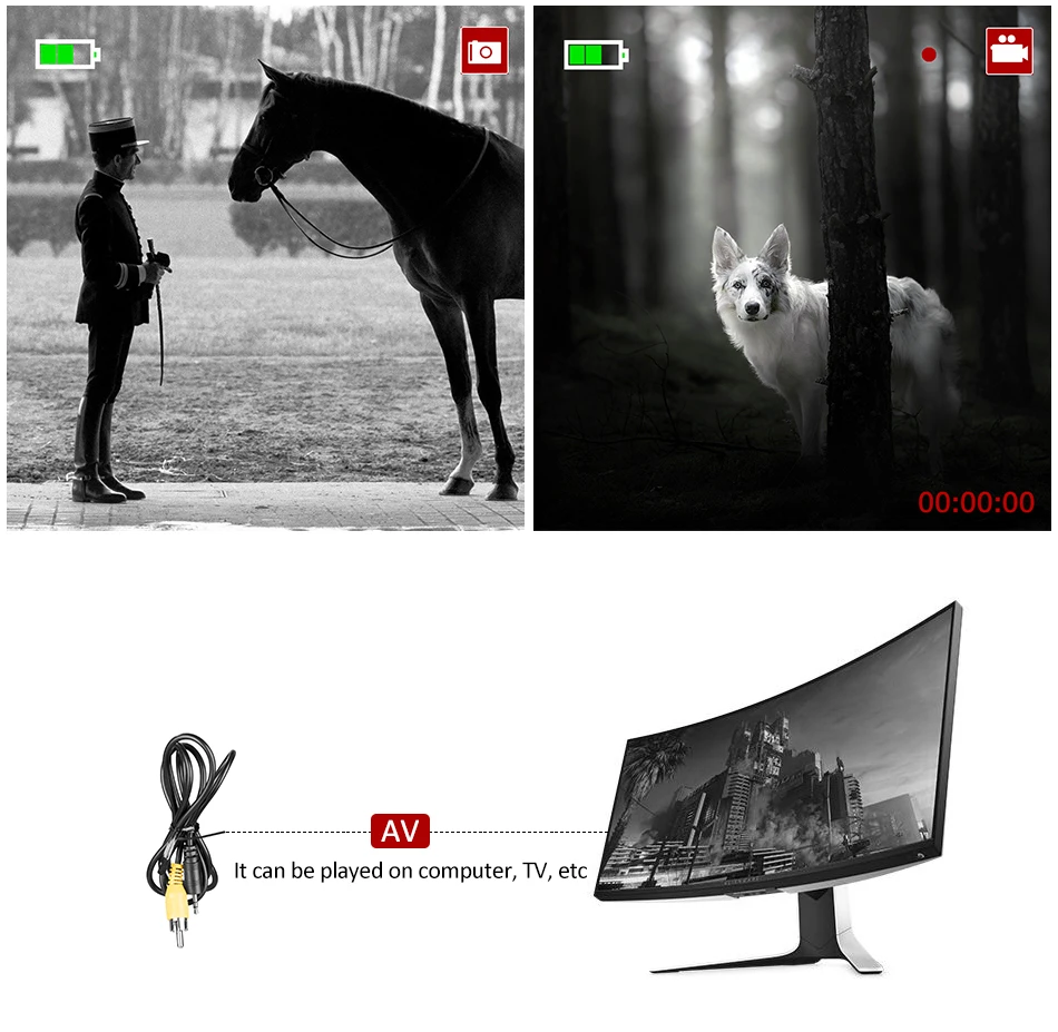 Pantalla y estilo de visualización