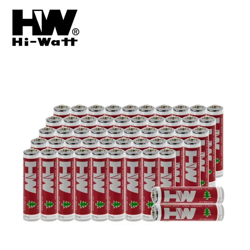 Pilas HW Hi-Watt 555 en blister