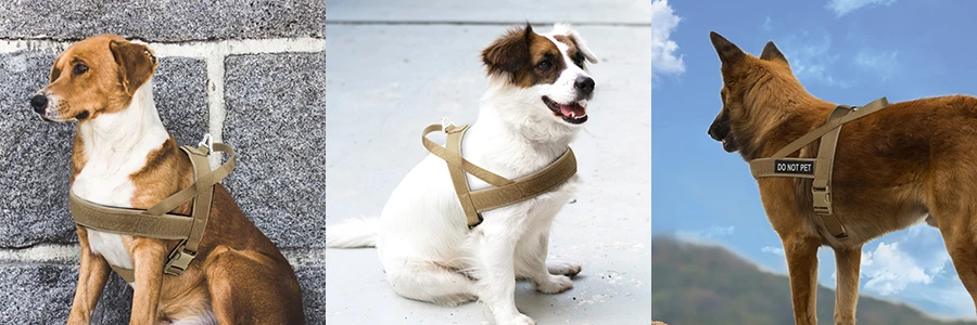 arnes tactico detalle correas