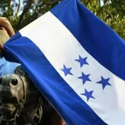 Bandera Honduras gran formato para exterior resistente
