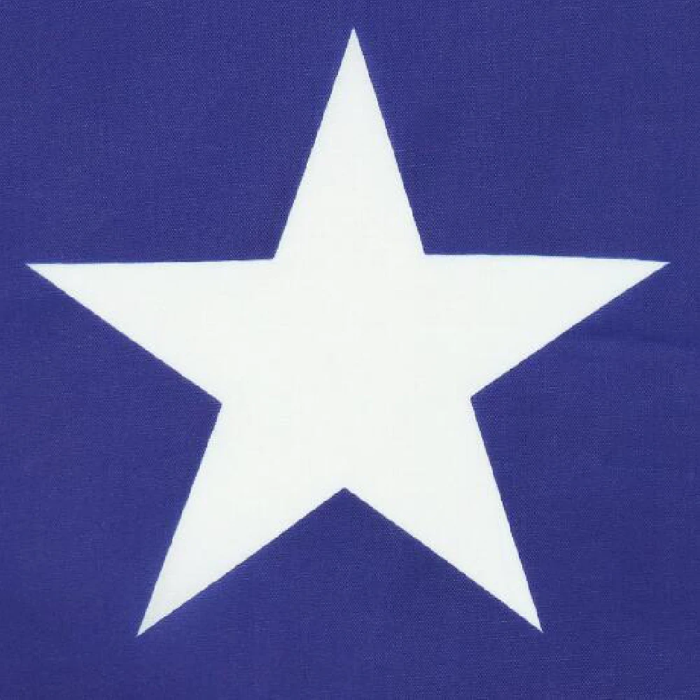 Bandera Samoa 90x150 cm para decoración exterior - imagen 4