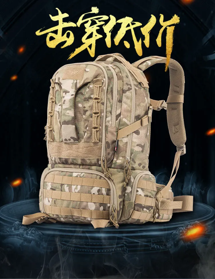 Detalle de los compartimentos