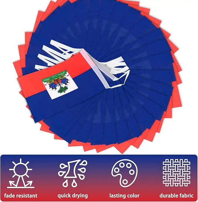 Guirnalda de banderines Haití para fiestas y festivales - imagen 4