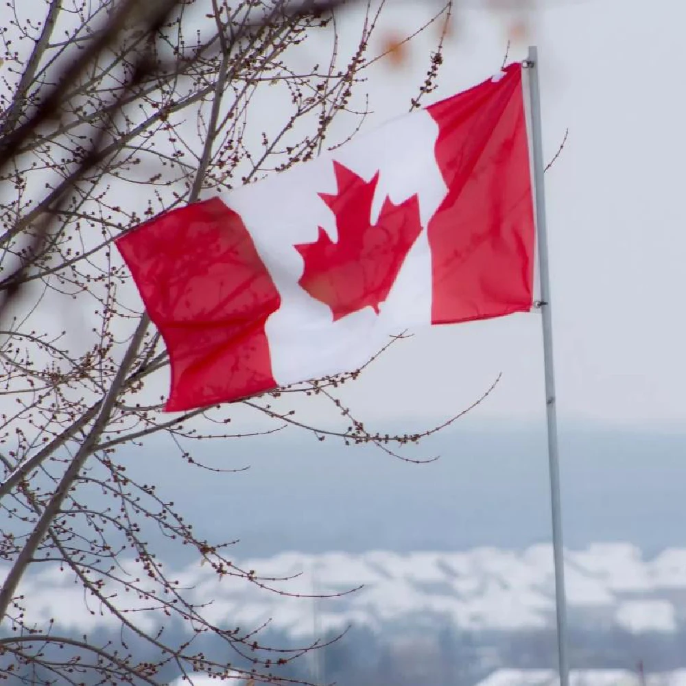 Bandera canadiense para interior y exterior, hogar - imagen 5