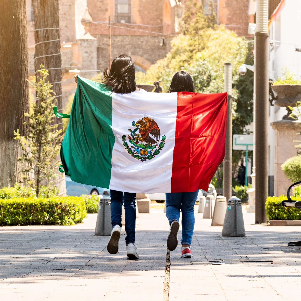 Bandera nacional México para decoración hogar y uso exterior - imagen 2