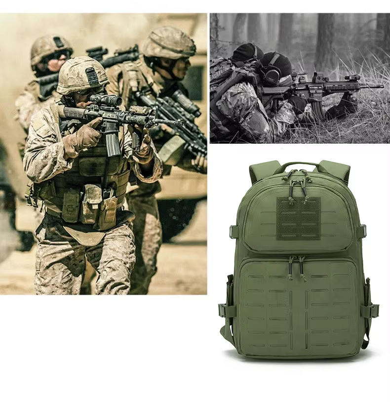 Detalle Molle Plug-in
