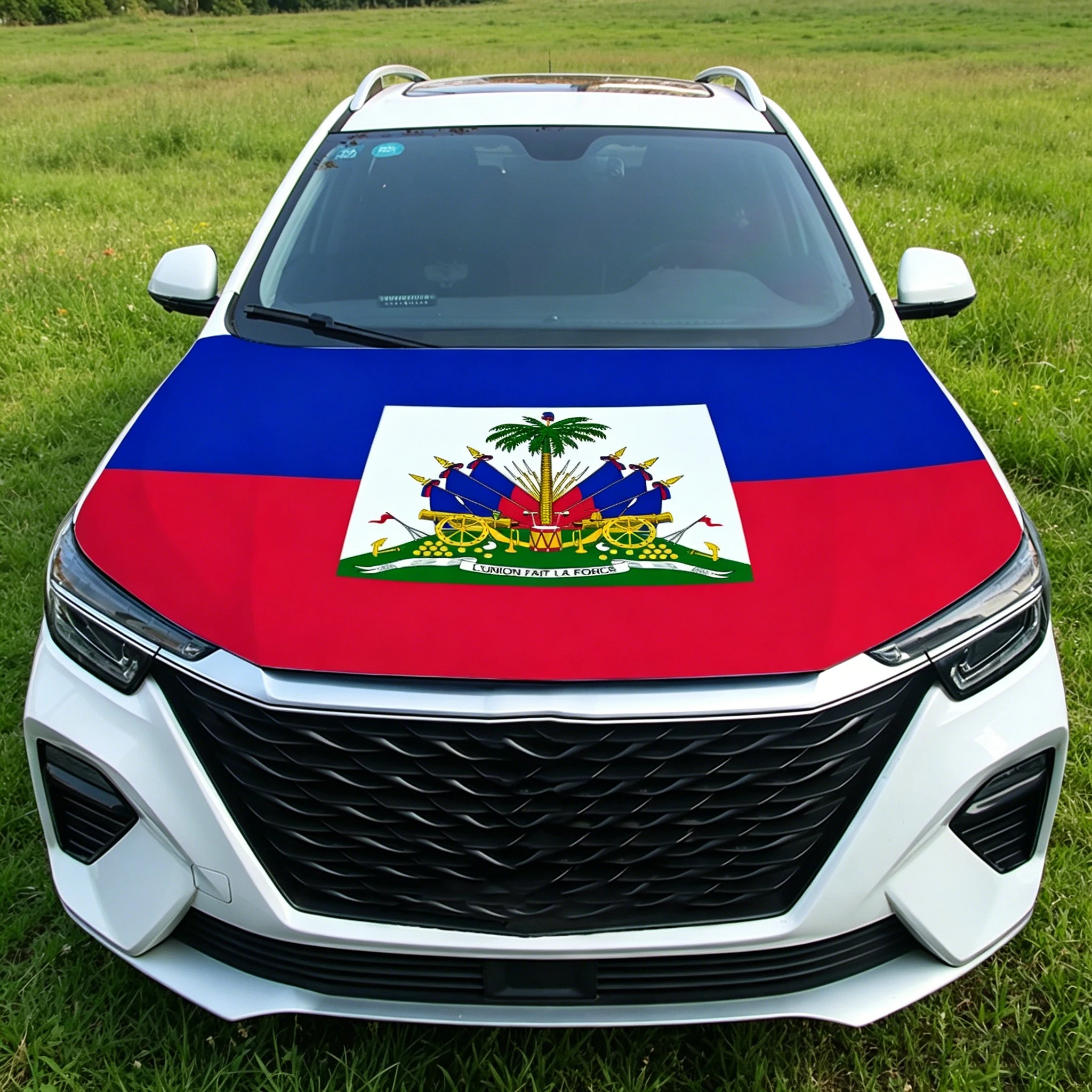 Funda para capó coche bandera de Haití para decoración exterior - imagen 5
