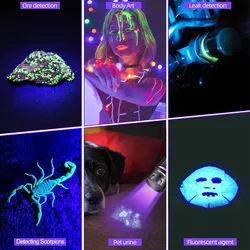 Linterna UV LED luz negra para detectar manchas invisibles