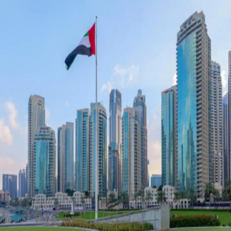 Bandera nacional de los Emiratos Árabes Unidos de poliéster - imagen 3