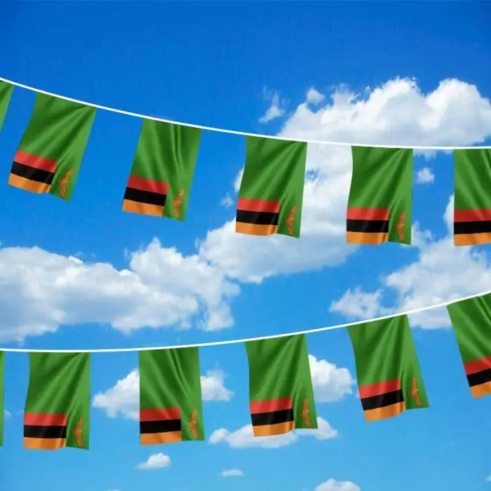 SKY FLAG Banderines de Zambia para fiestas y festivales - imagen 5