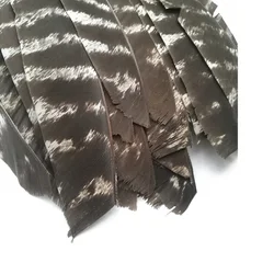 Plumas naturales para flechas de tiro con arco – Hazlo tú mismo caza