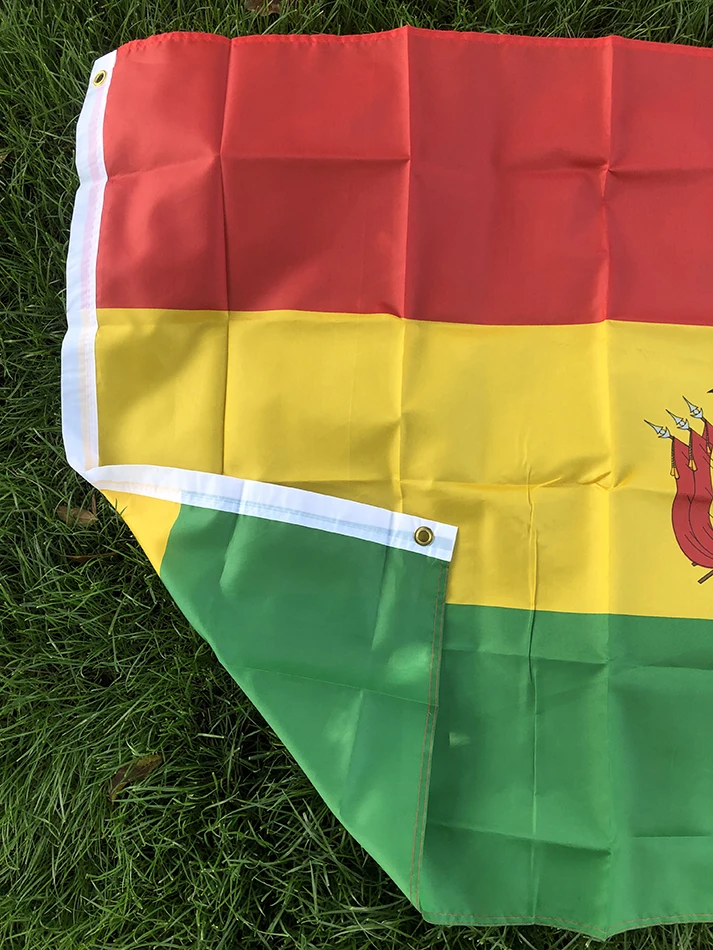 Bandera exhibida en pared