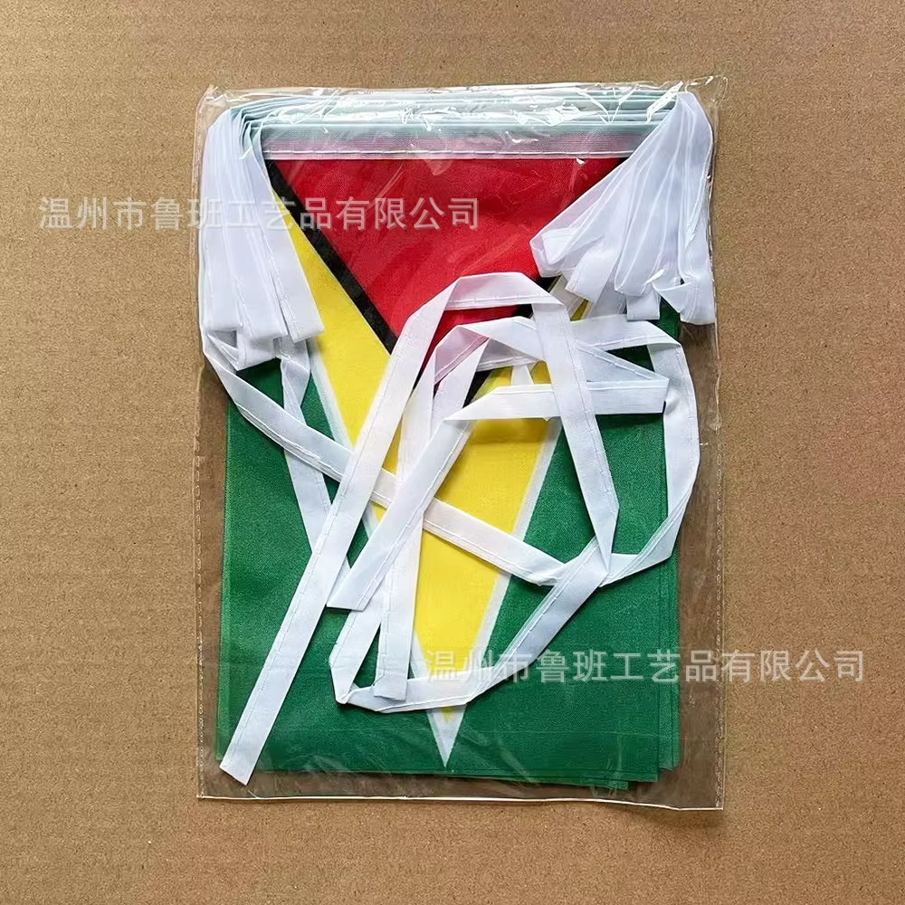 Banderines Guyana poliéster guirnalda para fiesta - imagen 2