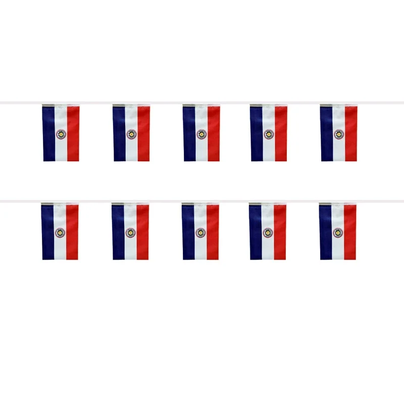 Banderines de Paraguay de poliéster para guirnalda festiva - imagen 3