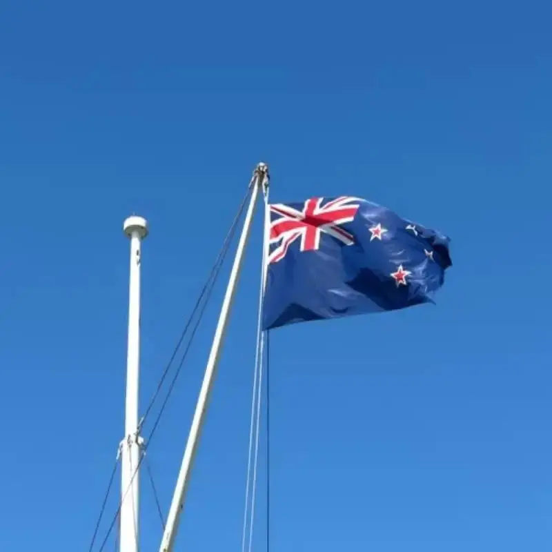 Bandera nacional Nueva Zelanda – Resistant para exterior - imagen 2