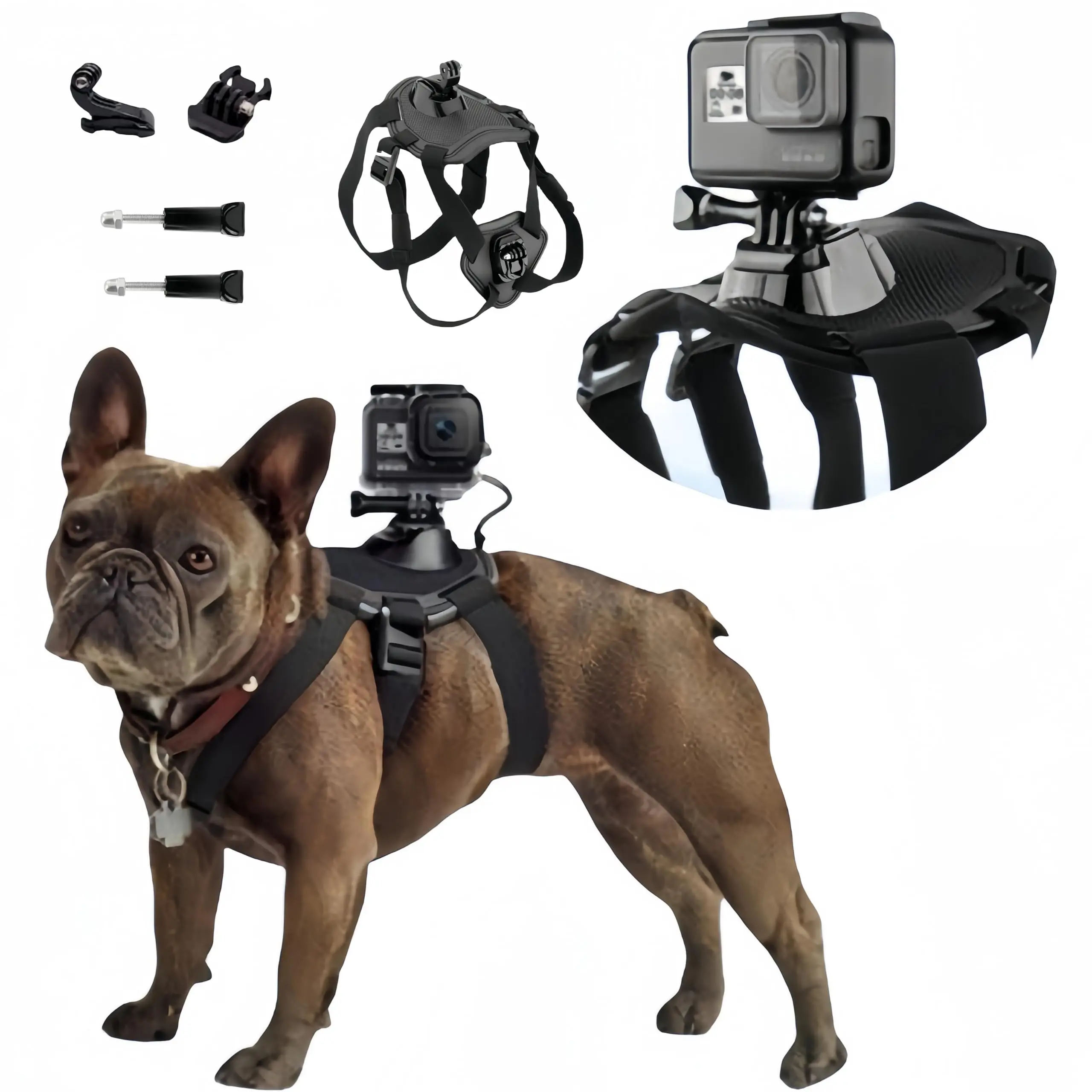 Arnés para perros con soporte cámara GoPro y DJI Osmo Pocket - imagen 2
