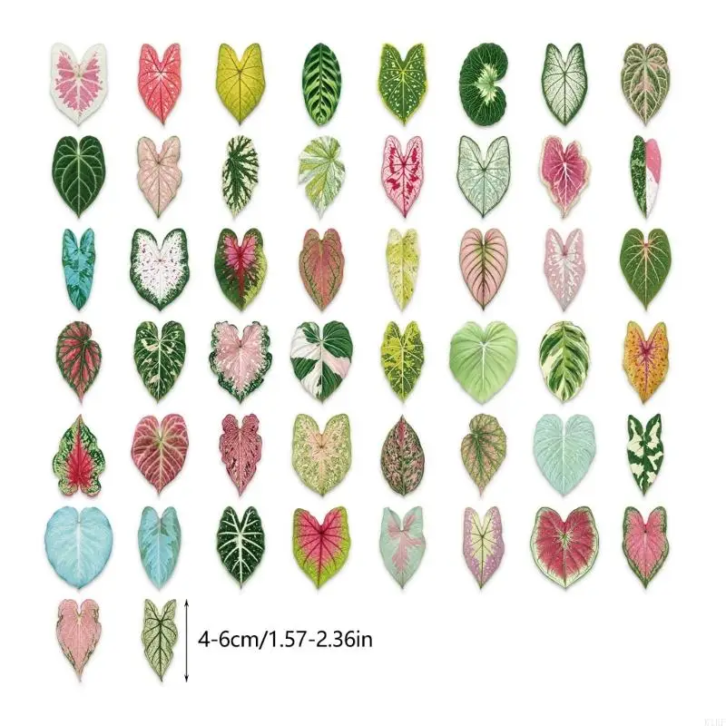 Etiquetas transparentes de hojas y plantas para álbumes y cuadernos - imagen 4