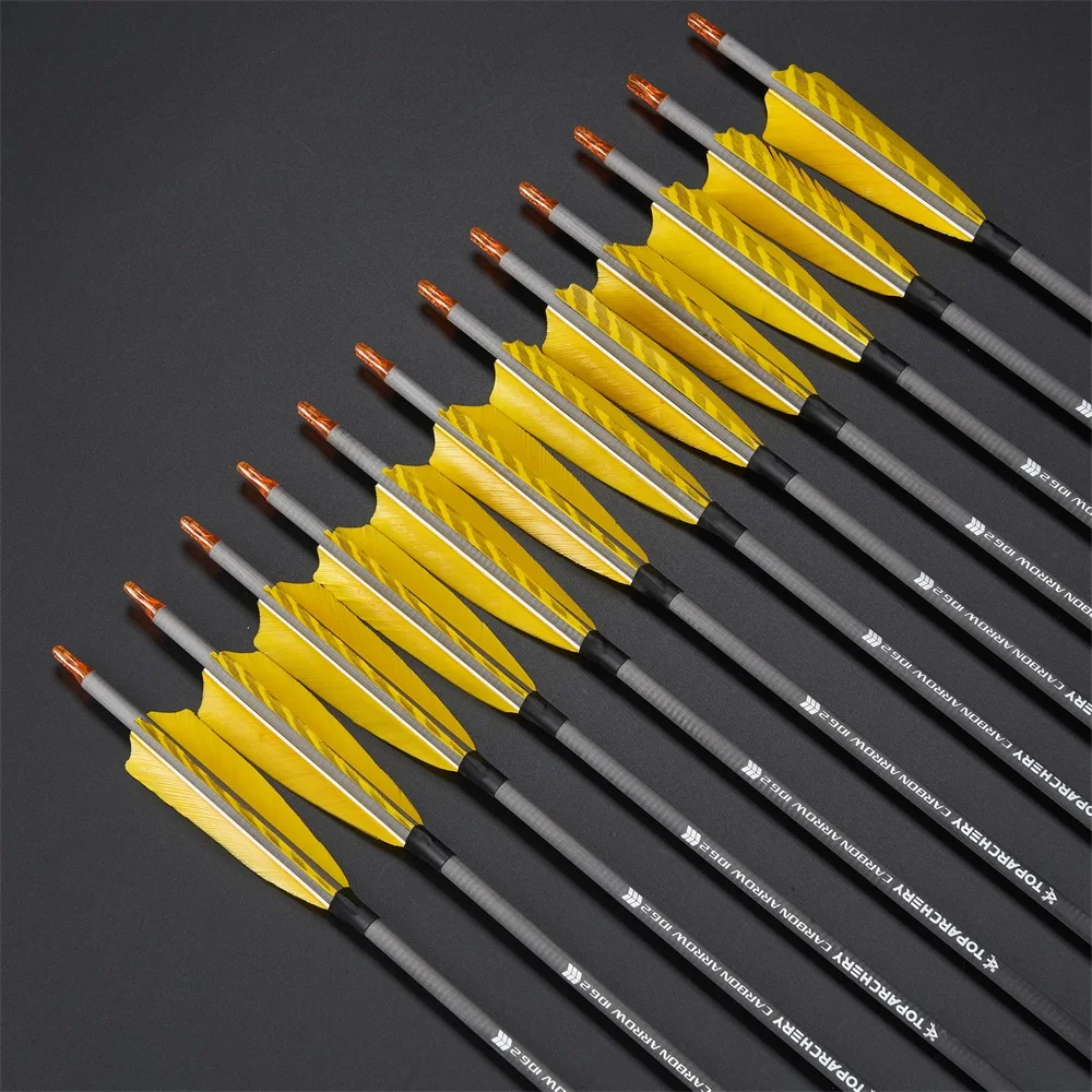 Toparchery Flechas de carbono con punta y pluma natural - imagen 4