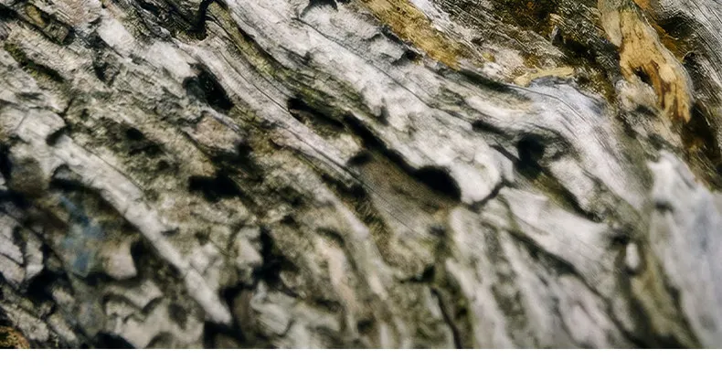 Detalle de la suela y tracción
