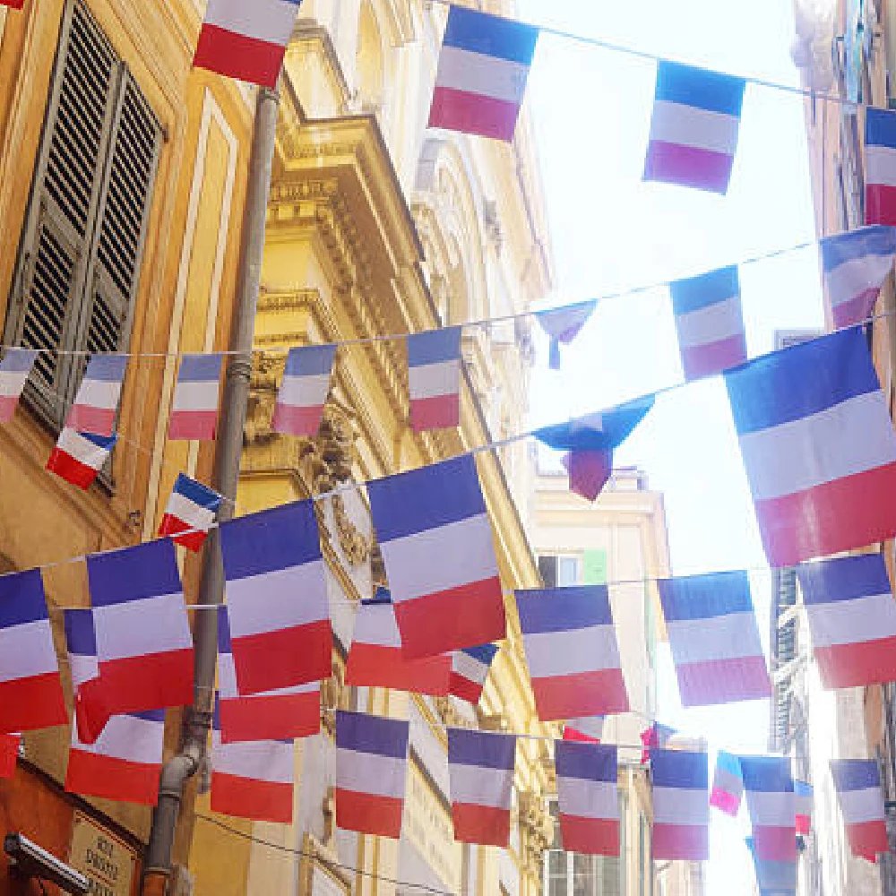 FLAGLINK Parche bandera Francia con velcro táctico MOLLE - imagen 2