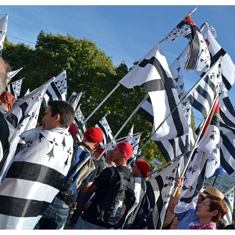 Bandera de Bretaña Breizh Bretagne Llydaw de poliéster resistente para exteriores - imagen 2