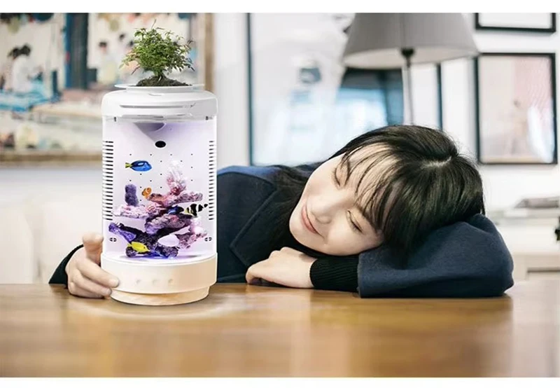 Vista del acuario de escritorio con iluminación LED