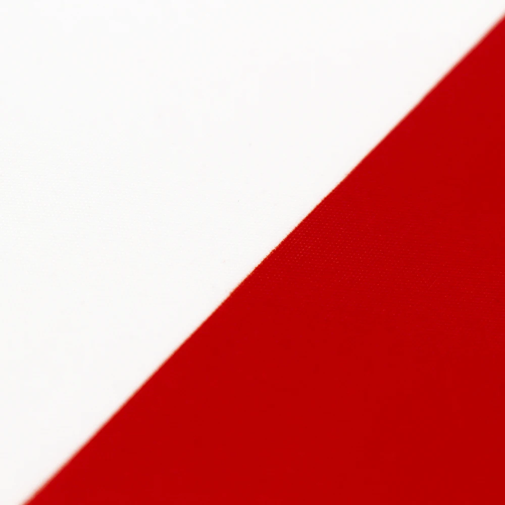 Bandera decorativa de Suiza en tela – Colgante exterior para pared o jardín - imagen 4