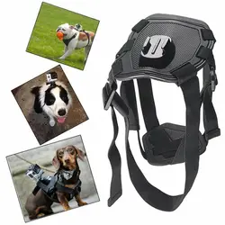 Arnés para perros con soporte cámara GoPro y DJI Osmo Pocket
