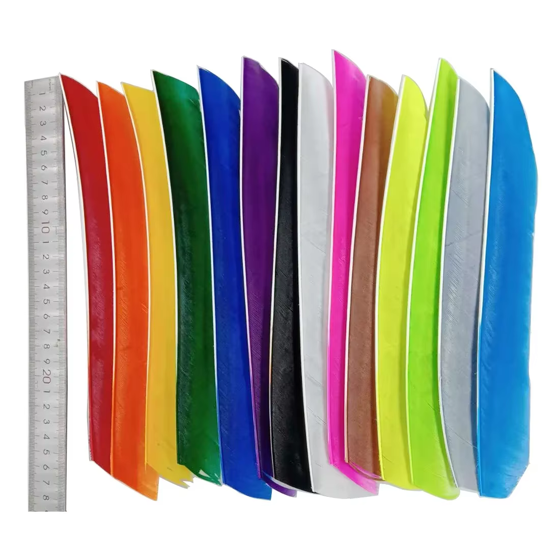 Plumas de flecha arco pavo real – Ala derecha 18-25 cm - imagen 2