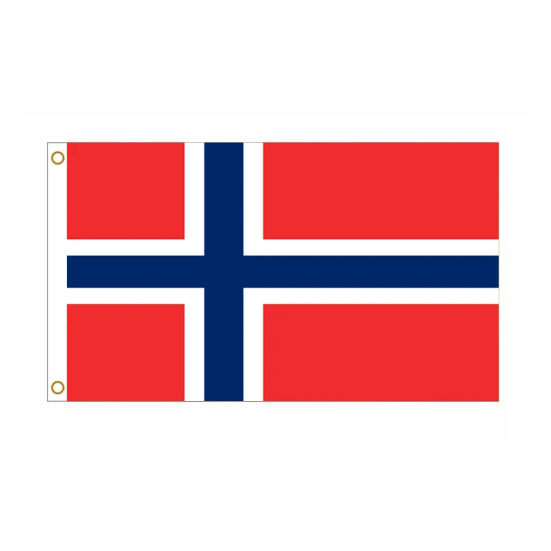 Bandera nacional de Noruega 90x150 cm en lote
