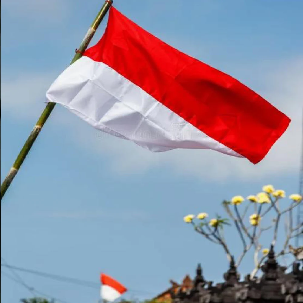Bandera de Indonesia de nylon para exterior, decoración - imagen 5