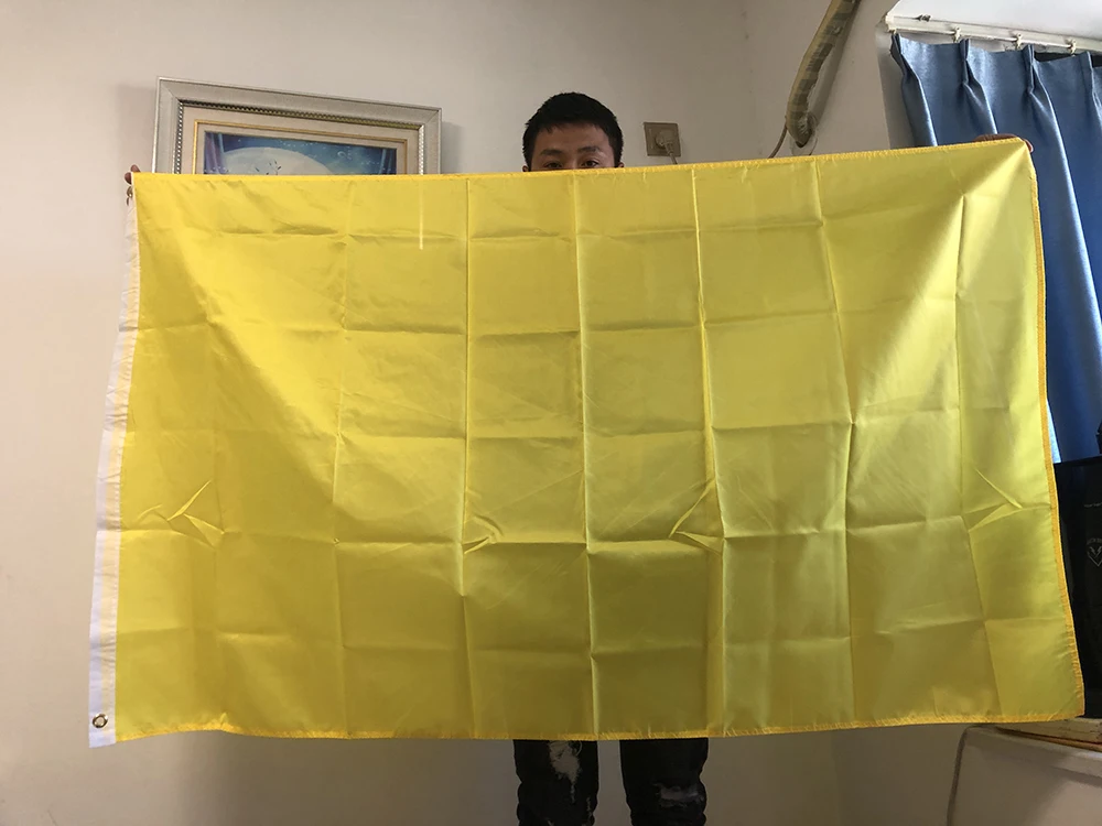 Bandera de poliéster liso morado para colgar o decoración - imagen 5