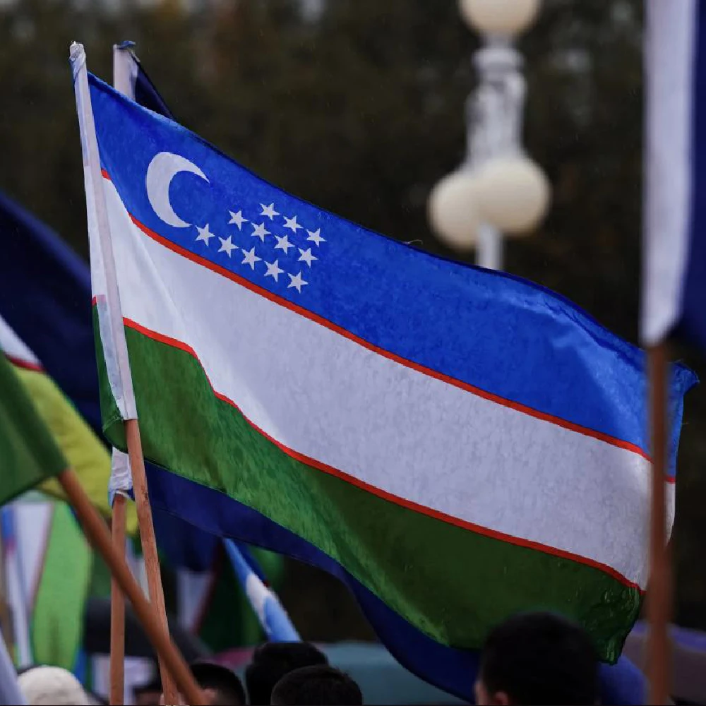 Bandera nacional de Uzbekistán – para decoración interior y exterior - imagen 5