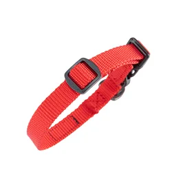 Correa de nailon para perro con collar ajustable y hebilla rapida