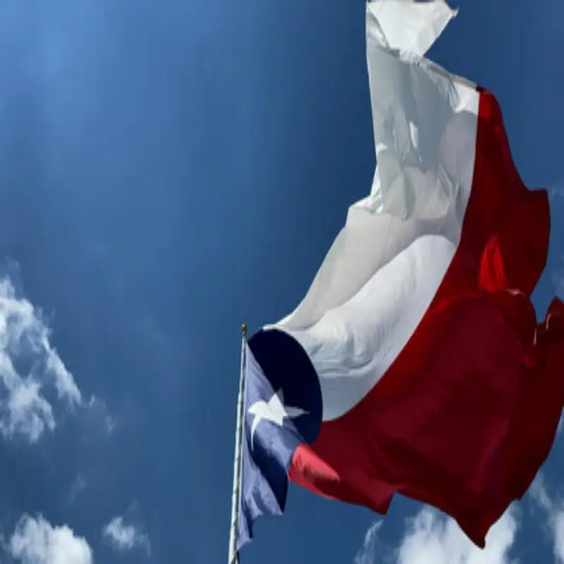 Bandera de Texas EE. UU. para exterior y decoración resistente - imagen 2