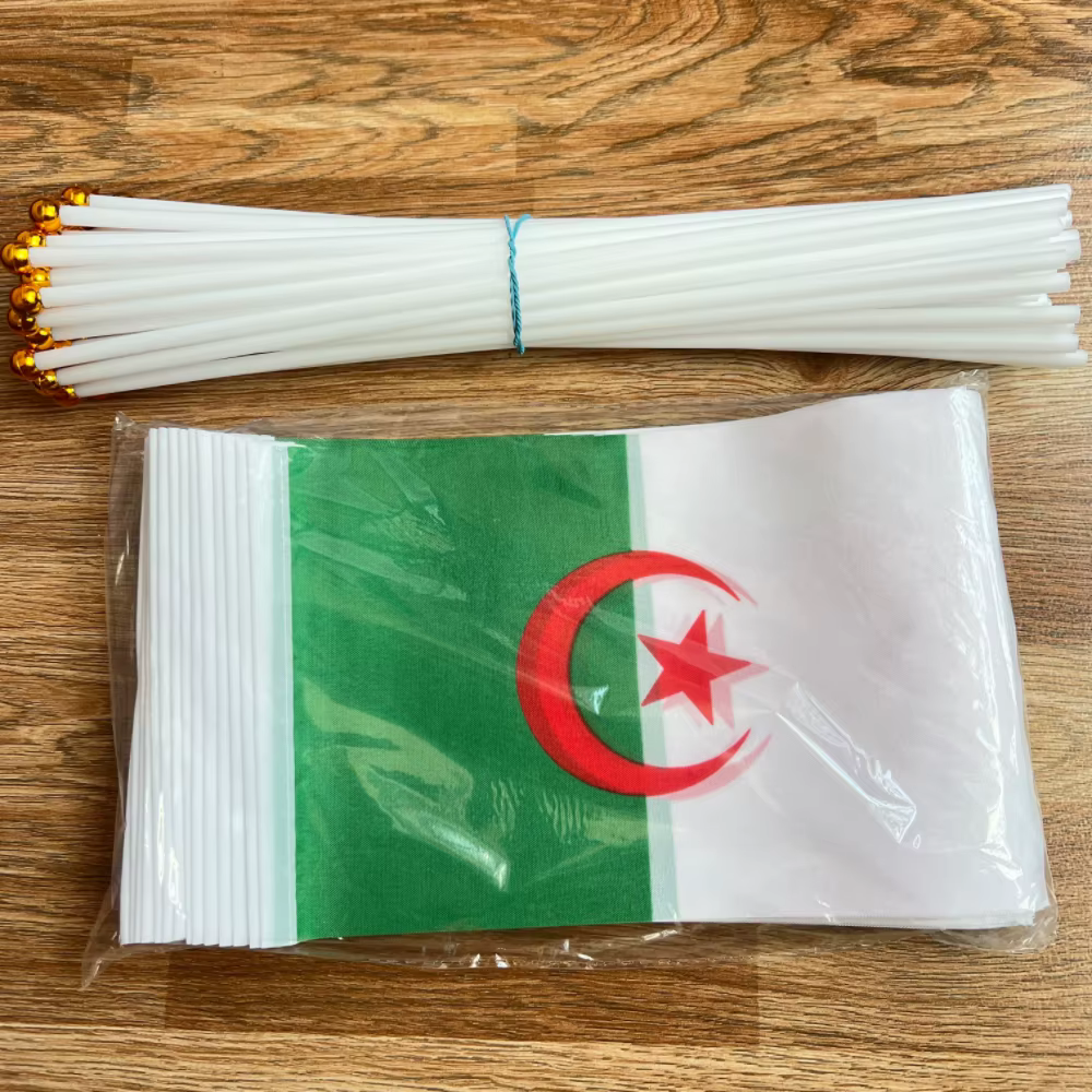 Bandera argelina de mano en palo plástico para uso al aire libre - imagen 2