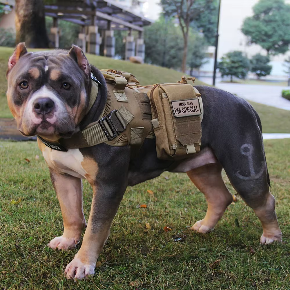 Chaleco MOLLE táctico canino – Nylon resistente Airsoft y caza - imagen 5