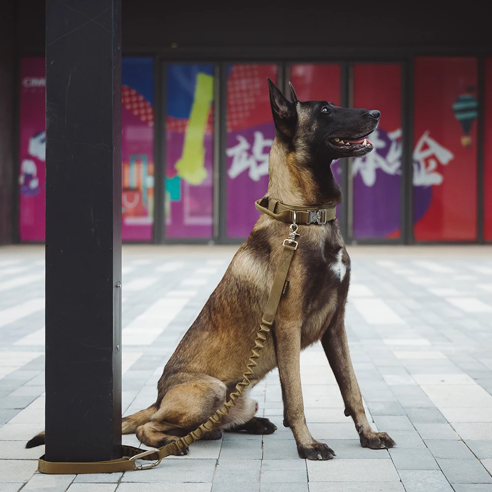 Correa táctica elástica para perros medianos y grandes al aire libre - imagen 2